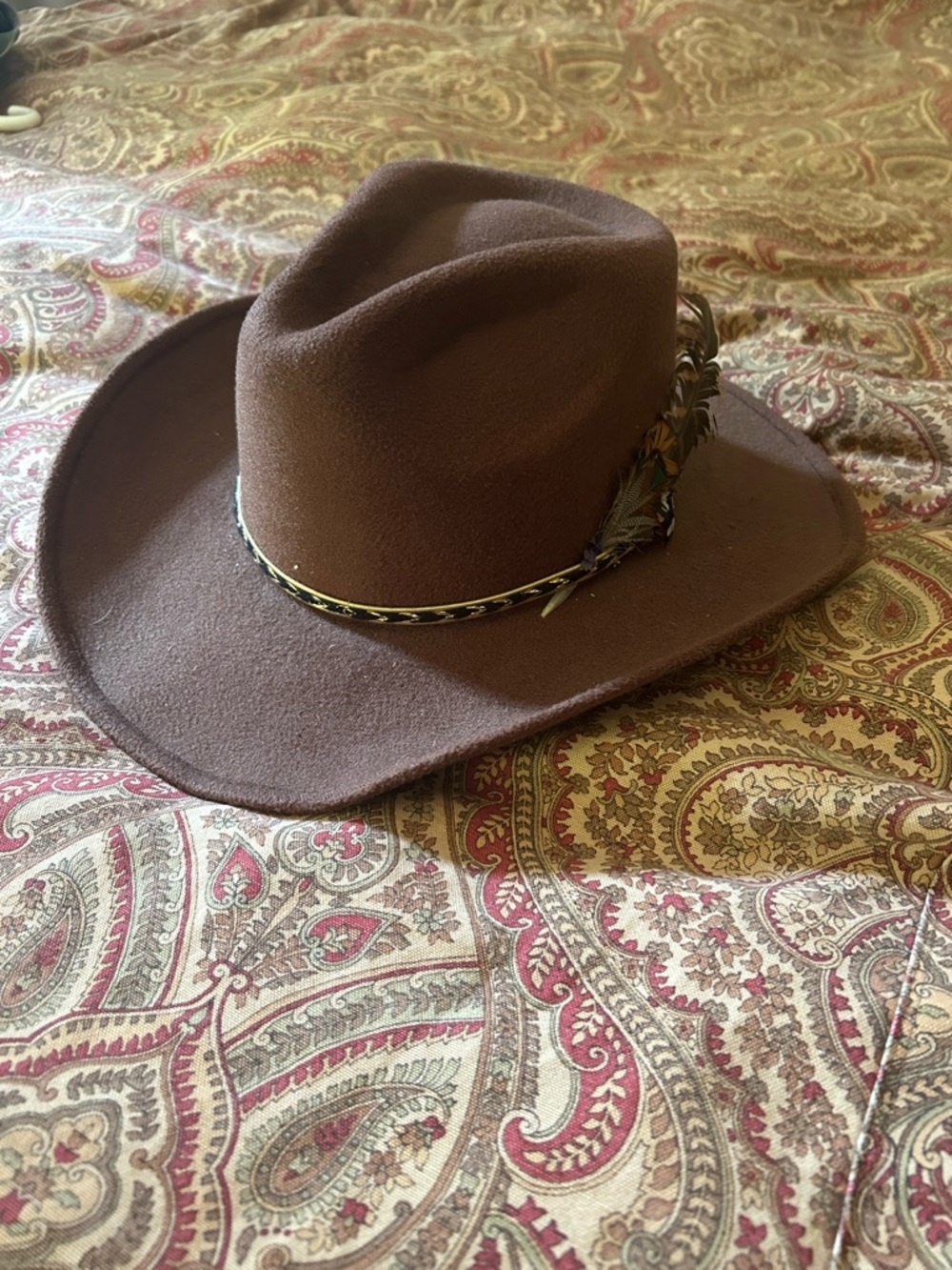 Classic Brown Wool Cowboy Hat with Feather Trim